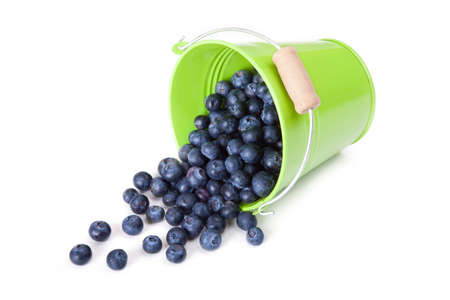 Blueberriesの写真素材