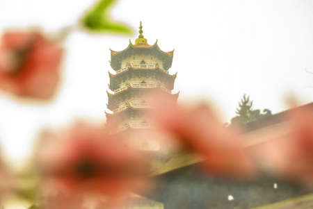 Flowers and pagodaの写真素材