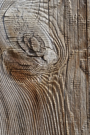 Wood backgroundの写真素材