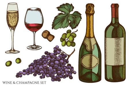 Vector set of hand drawn colored grapes, champagne, bottle of wine, glass of champagne, glass of wineのイラスト素材
