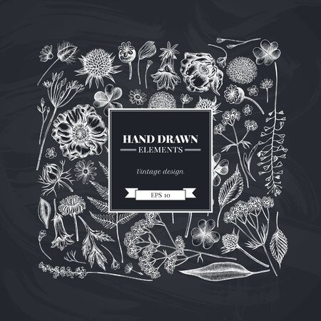 Square design with chalk shepherds purse, heather, fern, wild garlic, clover, globethistle, gentiana, astilbe, craspedia, lagurus, black caraway, chamomile, dandelion, poppy flower, lily of the valley, valerian, angelicaのイラスト素材