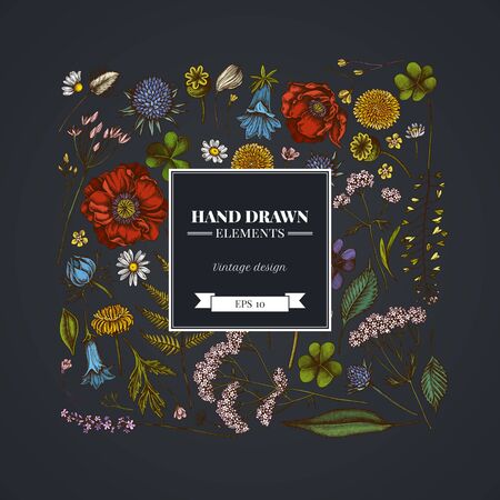 Square floral design on dark background with shepherd s purse, heather, fern, wild garlic, clover, globethistle, gentiana, astilbe, craspedia, lagurus, black caraway, chamomile, dandelion, poppy flower, lily of the valley, valerian angelica stock illustrationのイラスト素材