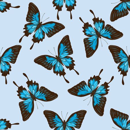 Seamless pattern with hand drawn colored papilio ulysses stock illustrationのイラスト素材