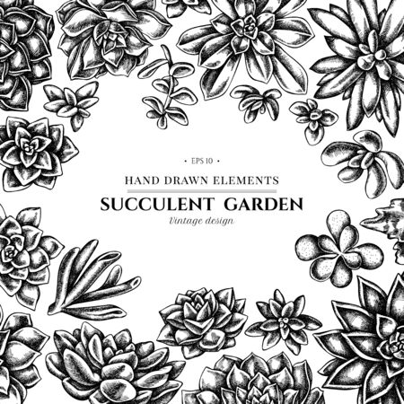 Floral design with black and white succulent echeveria, succulent echeveria, succulentのイラスト素材