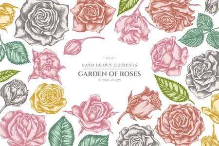 Floral design with pastel roses stock illustrationのイラスト素材