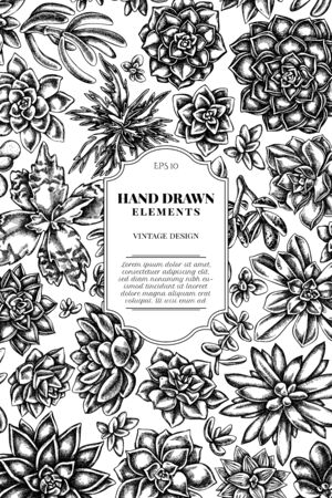 Card design with black and white succulent echeveria, succulent echeveria, succulentのイラスト素材