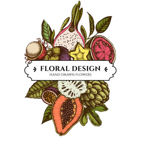 Composition design with colored papaya, guava, passion fruit, starfruit, durian, rambutan, pitaya, jackfruit, sugar-apple, soursop, mangosteenのイラスト素材