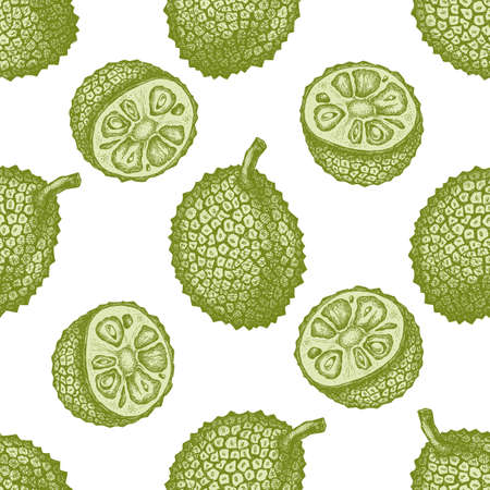 Seamless pattern with hand drawn pastel jackfruit