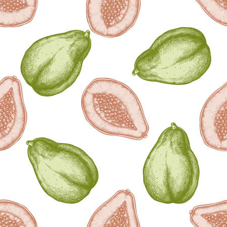 Seamless pattern with hand drawn pastel papayaのイラスト素材