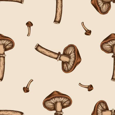Seamless pattern with hand drawn colored honey agaricのイラスト素材