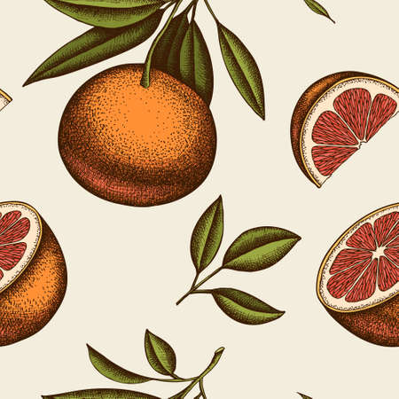 Citrus seamless pattern background design. Engraved style. Hand drawn grapefruit.のイラスト素材