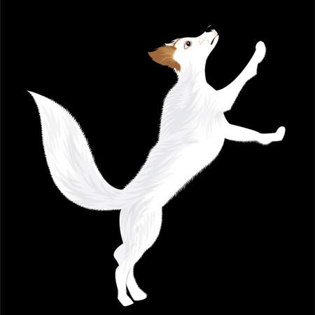 illustration from medium size white dog with a huge tail jumping up in a dark backgroundのイラスト素材