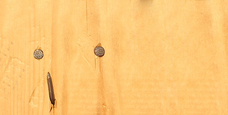 A photo of a wooden nail with three nails for your graphic designers background