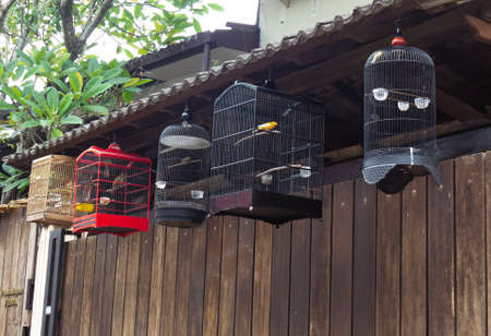 Some bird cages hanging in front of the house