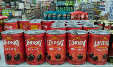 Jakarta, Indonesia-July 6, 2021: a Row of several cans of linsay products on a supermarket shelfのeditorial素材