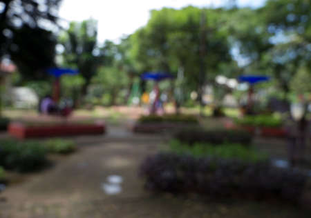 Nature of green leaf background. Natural green leaves plants backgroundの写真素材