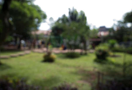 Nature of green leaf background. Natural green leaves plants backgroundの写真素材