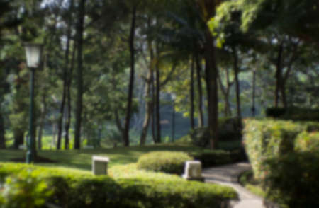 Abstract nature background, defocusの写真素材