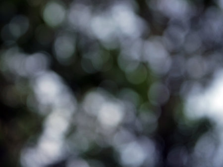 abstract bokeh background from nature under tree shade and sunlightの写真素材