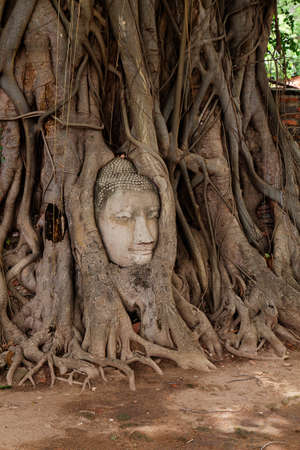 Buddhaの写真素材