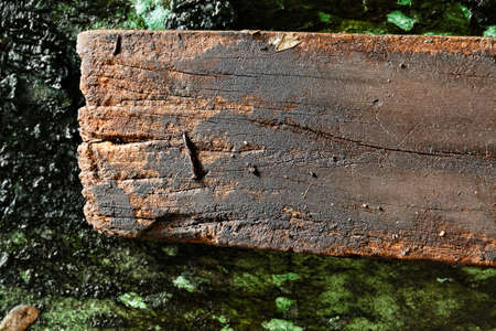 Old wooden boardの写真素材