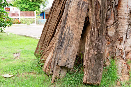 Old wooden plateの写真素材