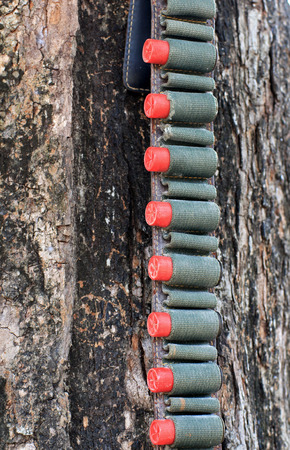 The red bullets rifle in socket