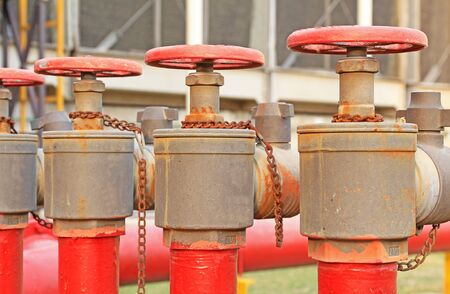 red fire hose valve in the plantの写真素材