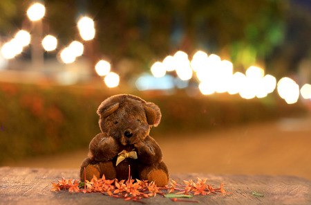 Cute teddy bear on bokeh backgroundの写真素材
