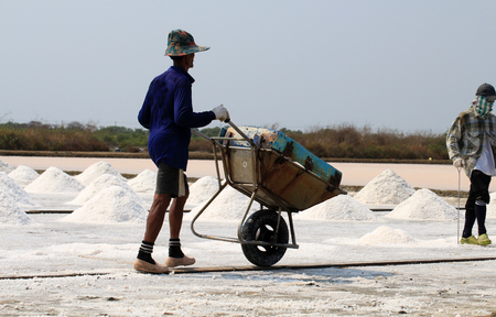A man work and move the saltの写真素材