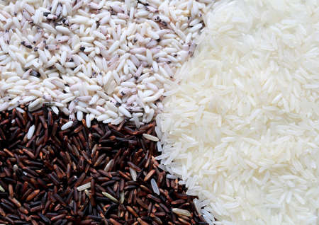 cuisine food,background of uncooked white rice,wheat berries rice and sticky riceの写真素材