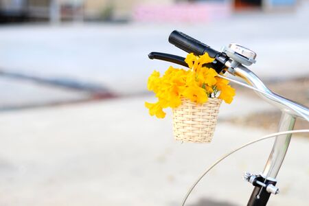 Yellow flowers a basket on a bicycle blur backgroundの写真素材