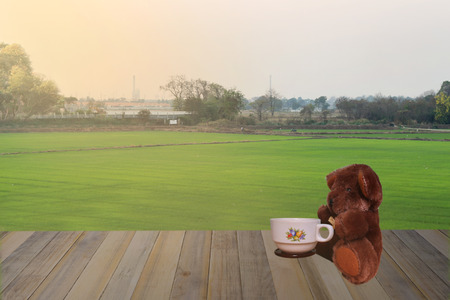 Teddy bear on wooden with paddy rice fields flare sunlight backgroundの写真素材