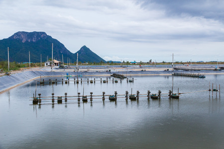 At shrimps pond in the rainy season,and paddle wheel aerator in Thailandの写真素材