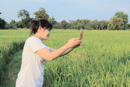 asian woman with smartphone and rice paddy filed,Thaiの写真素材