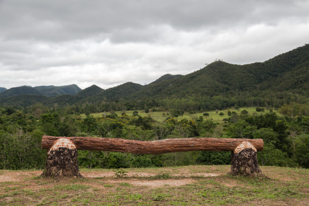 Seats for watching wildlife in the national park,Thailandの写真素材