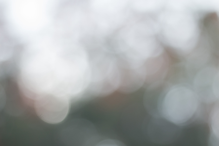 Abstract defocused lights bokeh as tree backgroundの写真素材
