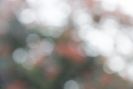 Abstract defocused lights bokeh as tree backgroundの写真素材