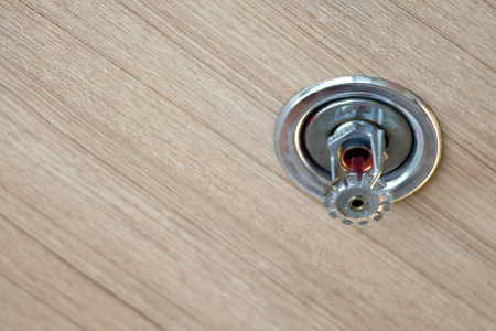 Smoke detector and pendent fire sprinkler on a ceiling,fire emergency
の写真素材