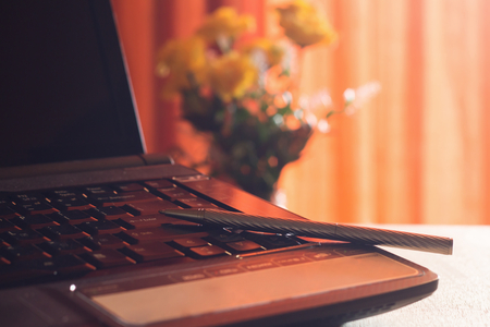 Diary and labtop for work on wooden table with flower and red curtain,notebook,book,pen,diary,clock and on wooden desk,Working space at homeの写真素材