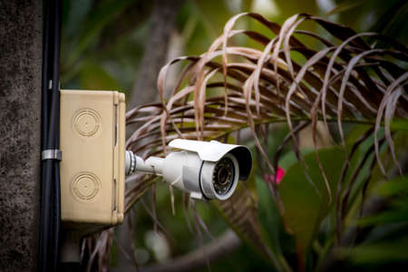 A surveillance camera control on an electric pole in the garden, CCTV technology