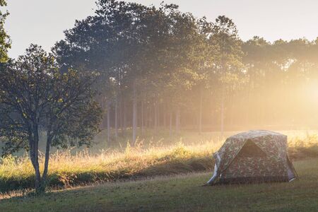 Camping tent on green field near forest during dramatic sunrise at summer misty morning,Concept of outdoor camping adventureの写真素材