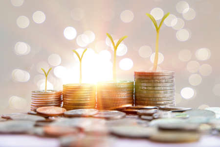 Stack of Thai coins and growing sprouts vegetable on bokeh background, business concept of saving moneyの写真素材