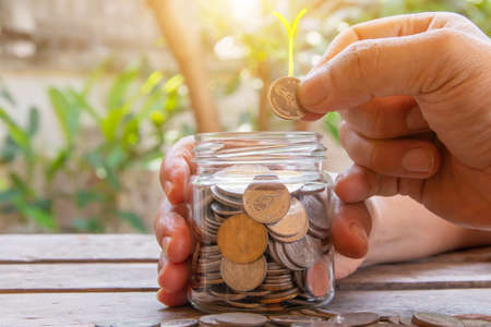 Thai coins in glass bottle on hand and growing sprouts vegetable and bokeh background, business...
