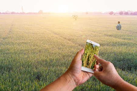 A smart phone in hand with a scenic view of a field in the hands with agriculture drone farming fly to spray fertilizer on the rice fields,Smart farming Agricultural technology,Smart farmer Conceptの写真素材