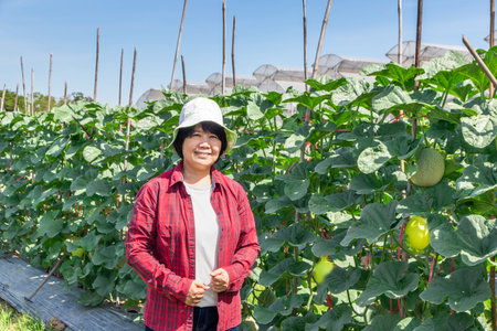 Beautiful female farmer checking the quality of an organic melon that grown in the garden system.Melon fruits and melon plants in a vegetable gardenの写真素材