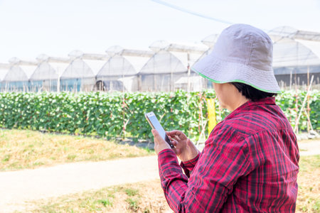 Beautiful female farmer holding smart phone and checking the quality of an organic melon that grown in the garden hydroponic system and information on the mobile phone in handの写真素材
