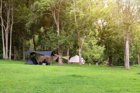 Beautiful tents set up in beautiful nature. Among the trees and green lawns For relaxing holidays and eco-tourism.の写真素材