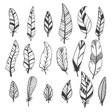 Ethnic feather vector set. Hand drawn collection. Vector illustrationのイラスト素材