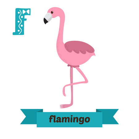 Flamingo. F letter. Cute children animal alphabet in vector. Funny cartoon animals. Vector illustrationのイラスト素材